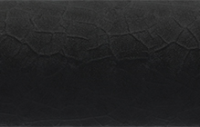BLN_Black-Crocodile-New