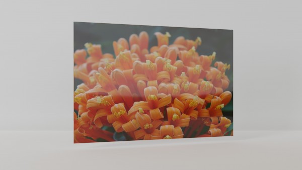 Infrarotheizung Glas Print
